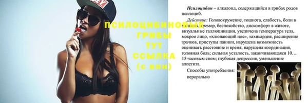 гидропоника Козельск